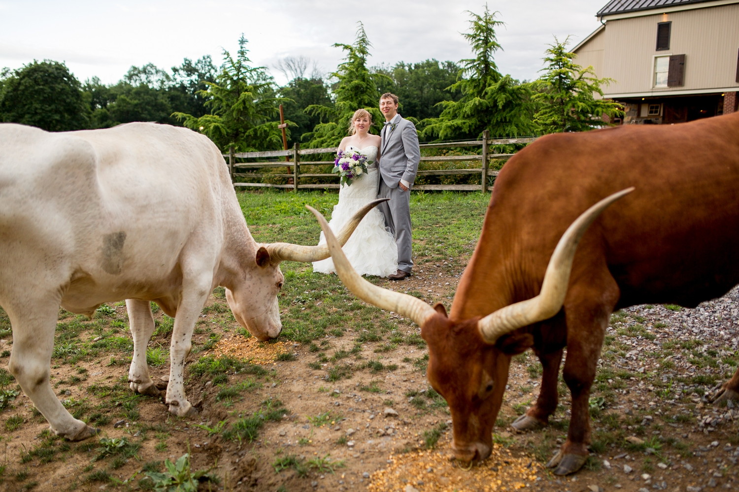 ironstone ranch elizabethtown pa wedding